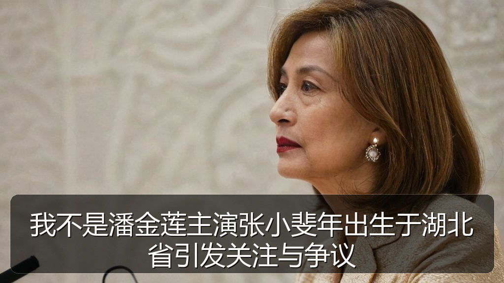 我不是潘金莲主演张小斐年出生于湖北省引发关注与争议